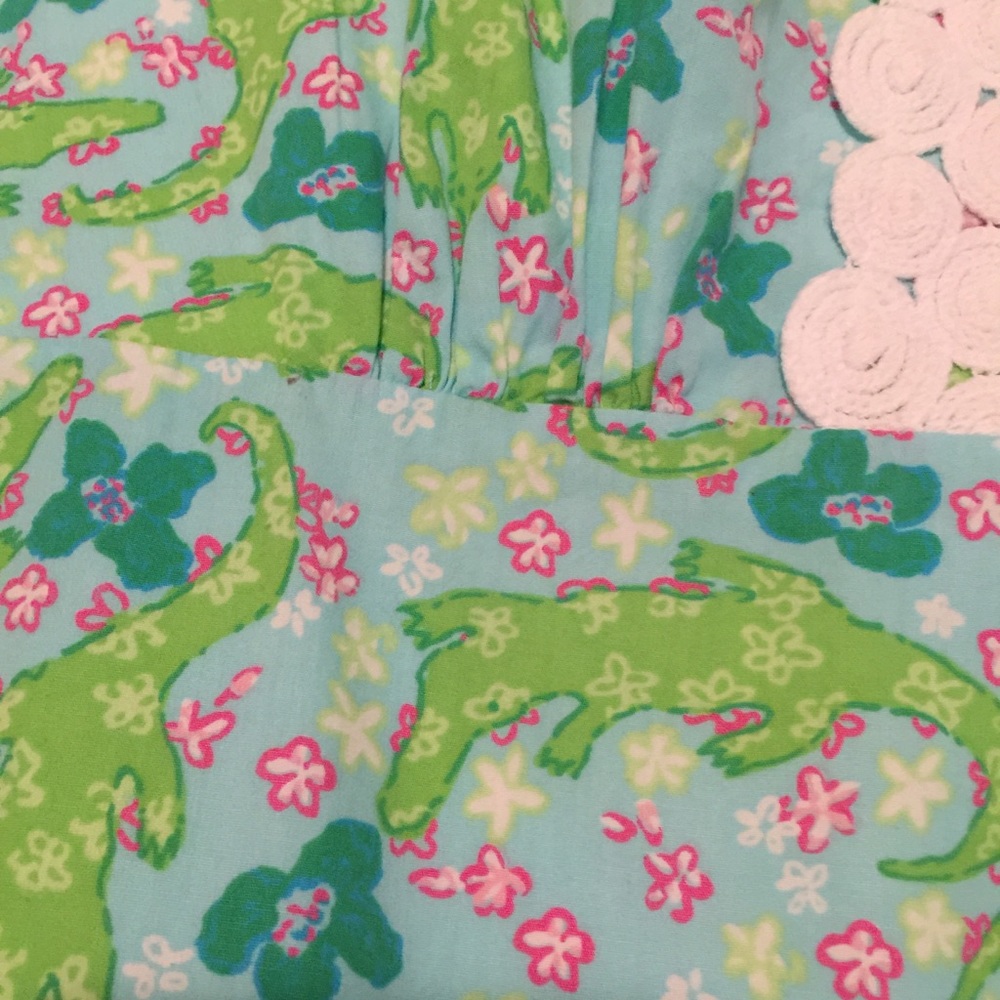 Lilly Pulitzer Dress - Picture 8 of 13